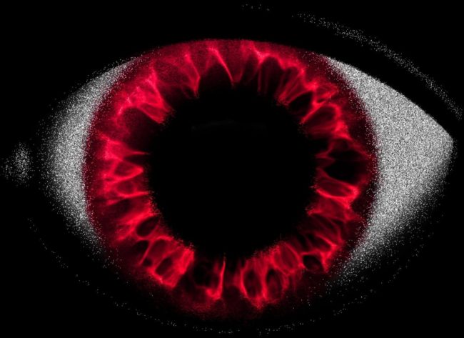 Dezinformacijsko oko Rusija Srbija dezinformacije mediji hibridni rat