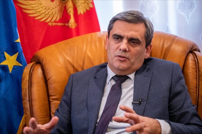 Ervin Ibrahimović Bošnjačka stranka